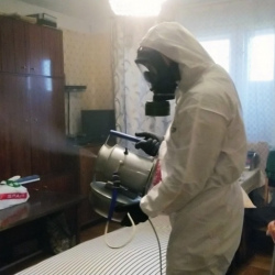 Дезинфекция от клопов в Новочебоксарске