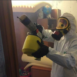 Уничтожение клопов в квартире. Новочебоксарск